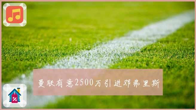 曼联有意2500万引进邓弗里斯