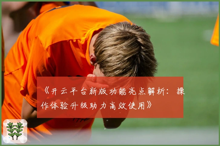 《开云平台新版功能亮点解析：操作体验升级助力高效使用》